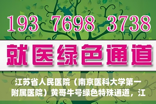 江苏省人民医院（南京医科大学第一附属医院）黄哥牛号绿色特殊通道，江苏省人民医院绿色特殊通道，黄哥牛号的医疗速度与温情服务