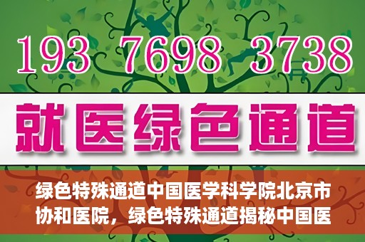 绿色特殊通道中国医学科学院北京市协和医院，绿色特殊通道揭秘中国医学科学院北京市协和医院的力量与担当