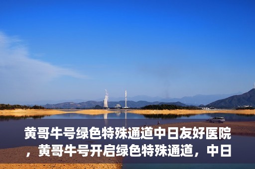 黄哥牛号绿色特殊通道中日友好医院，黄哥牛号开启绿色特殊通道，中日友好医院展现友好服务新篇章
