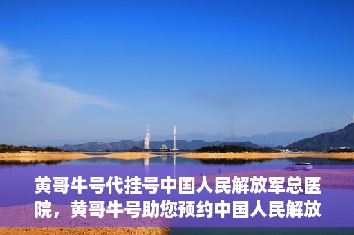 黄哥牛号代挂号中国人民解放军总医院，黄哥牛号助您预约中国人民解放军总医院专家号