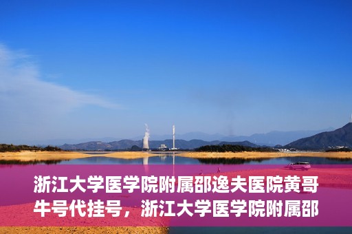 浙江大学医学院附属邵逸夫医院黄哥牛号代挂号，浙江大学医学院附属邵逸夫医院黄哥牛号代挂号服务解析