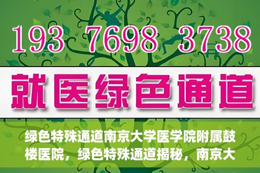 绿色特殊通道南京大学医学院附属鼓楼医院，绿色特殊通道揭秘，南京大学医学院附属鼓楼医院的探索与实践