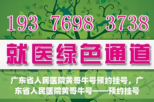 广东省人民医院黄哥牛号预约挂号，广东省人民医院黄哥牛号——预约挂号攻略