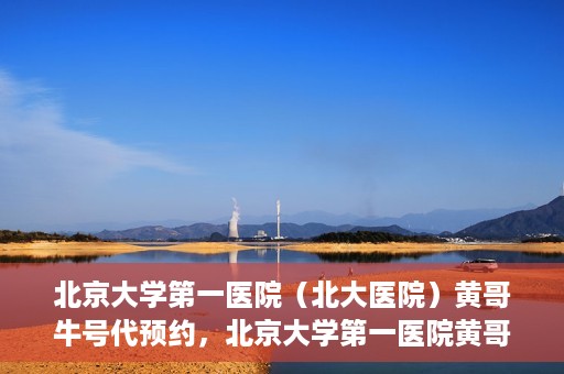 北京大学第一医院（北大医院）黄哥牛号代预约，北京大学第一医院黄哥牛号预约服务解析