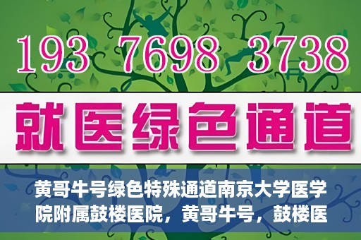 黄哥牛号绿色特殊通道南京大学医学院附属鼓楼医院，黄哥牛号，鼓楼医院开启绿色特殊通道助力健康之路