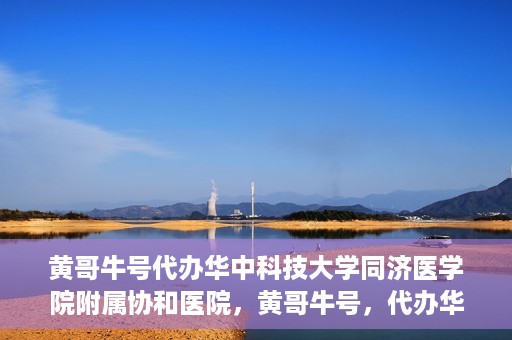 黄哥牛号代办华中科技大学同济医学院附属协和医院，黄哥牛号，代办华中科技大学同济医学院附属协和医院业务办理全攻略
