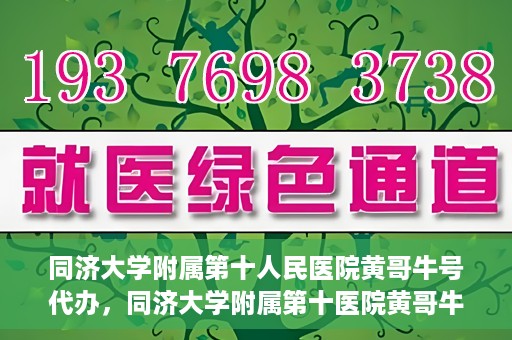 同济大学附属第十人民医院黄哥牛号代办，同济大学附属第十医院黄哥牛号预约代办服务解析