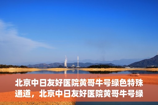 北京中日友好医院黄哥牛号绿色特殊通道，北京中日友好医院黄哥牛号绿色就医特殊通道解析