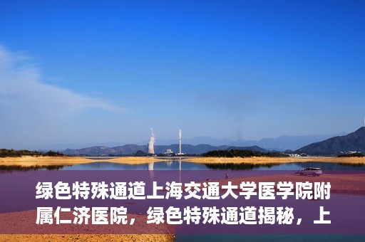 绿色特殊通道上海交通大学医学院附属仁济医院，绿色特殊通道揭秘，上海交通大学医学院附属仁济医院的探索与实践