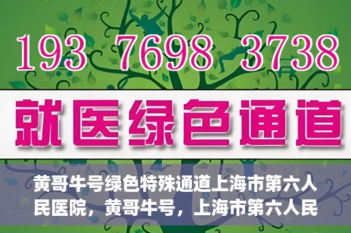 黄哥牛号绿色特殊通道上海市第六人民医院，黄哥牛号，上海市第六人民医院绿色特殊通道揭秘