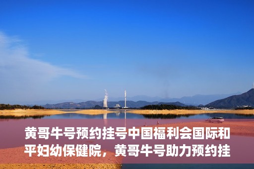 黄哥牛号预约挂号中国福利会国际和平妇幼保健院，黄哥牛号助力预约挂号，中国福利会国际和平妇幼保健院服务升级新体验