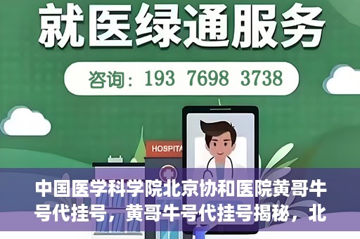 中国医学科学院北京协和医院黄哥牛号代挂号，黄哥牛号代挂号揭秘，北京协和医院挂号背后的故事