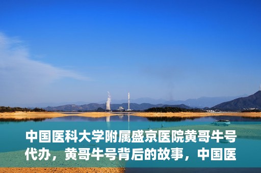 中国医科大学附属盛京医院黄哥牛号代办，黄哥牛号背后的故事，中国医科大学附属盛京医院的信赖之选