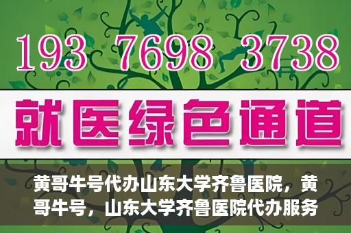 黄哥牛号代办山东大学齐鲁医院，黄哥牛号，山东大学齐鲁医院代办服务解析