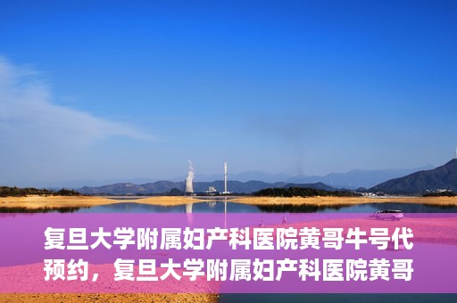 复旦大学附属妇产科医院黄哥牛号代预约，复旦大学附属妇产科医院黄哥预约挂号服务启动