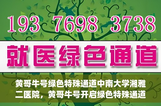 黄哥牛号绿色特殊通道中南大学湘雅二医院，黄哥牛号开启绿色特殊通道——中南大学湘雅二医院新篇章