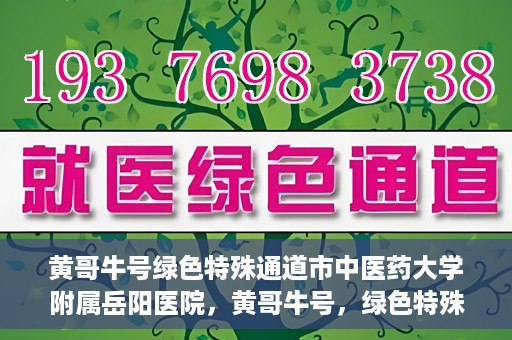 黄哥牛号绿色特殊通道市中医药大学附属岳阳医院，黄哥牛号，绿色特殊通道助力中医药大学附属岳阳医院健康前行