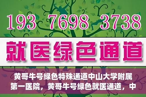 黄哥牛号绿色特殊通道中山大学附属第一医院，黄哥牛号绿色就医通道，中山大学附属第一医院的实践探索