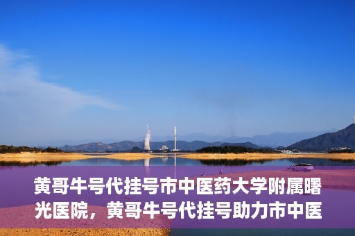 黄哥牛号代挂号市中医药大学附属曙光医院，黄哥牛号代挂号助力市中医药大学附属曙光医院就医无忧