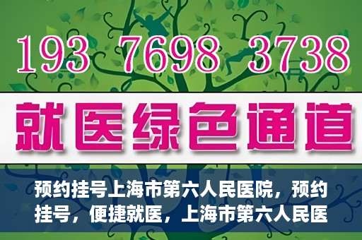 预约挂号上海市第六人民医院，预约挂号，便捷就医，上海市第六人民医院挂号指南