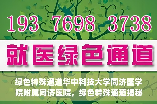 绿色特殊通道华中科技大学同济医学院附属同济医院，绿色特殊通道揭秘，华中科技大学同济医学院附属同济医院的探索之路