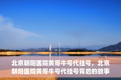 北京朝阳医院黄哥牛号代挂号，北京朝阳医院黄哥牛号代挂号背后的故事揭秘