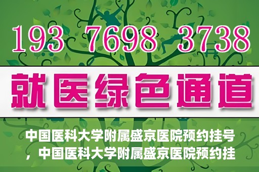 中国医科大学附属盛京医院预约挂号，中国医科大学附属盛京医院预约挂号指南，一站式解决您的挂号难题