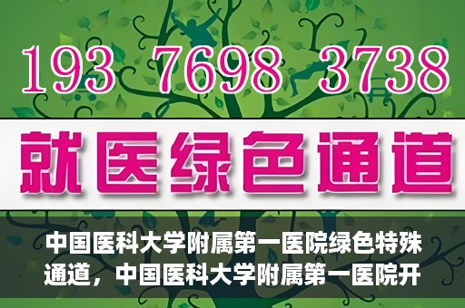 中国医科大学附属第一医院绿色特殊通道，中国医科大学附属第一医院开通绿色特殊通道，助力患者就医体验升级