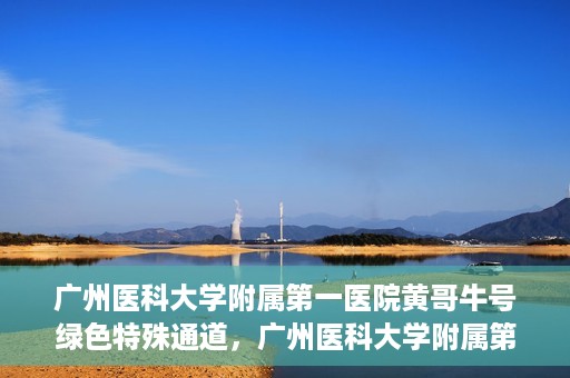 广州医科大学附属第一医院黄哥牛号绿色特殊通道，广州医科大学附属第一医院黄哥牛号，绿色特殊通道开启健康之门