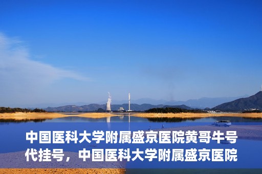 中国医科大学附属盛京医院黄哥牛号代挂号，中国医科大学附属盛京医院黄哥牛号代挂号背后的故事与真相揭秘