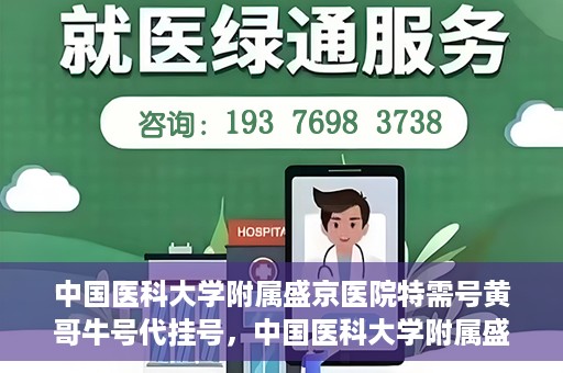 中国医科大学附属盛京医院特需号黄哥牛号代挂号，中国医科大学附属盛京医院特需号黄哥牛号代挂号背后的故事与真相揭秘