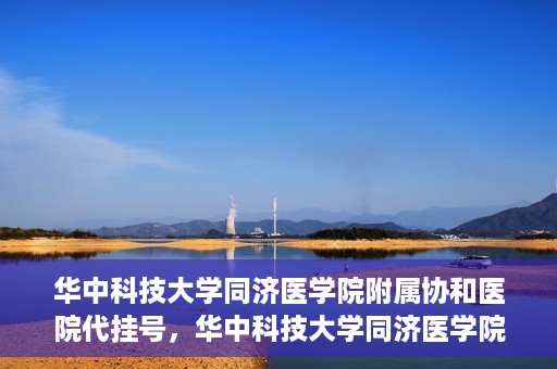 华中科技大学同济医学院附属协和医院代挂号，华中科技大学同济医学院附属协和医院代挂号服务详解