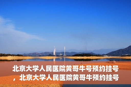 北京大学人民医院黄哥牛号预约挂号，北京大学人民医院黄哥牛预约挂号攻略，轻松预约，便捷就医