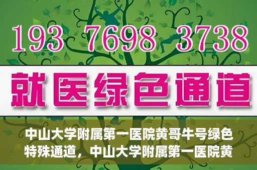 中山大学附属第一医院黄哥牛号绿色特殊通道，中山大学附属第一医院黄哥牛号，绿色特殊通道开启健康之门