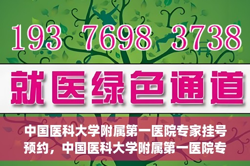 中国医科大学附属第一医院专家挂号预约，中国医科大学附属第一医院专家挂号预约攻略，一站式解决您的就医难题