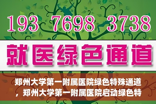 郑州大学第一附属医院绿色特殊通道，郑州大学第一附属医院启动绿色特殊通道，助力患者高效就医