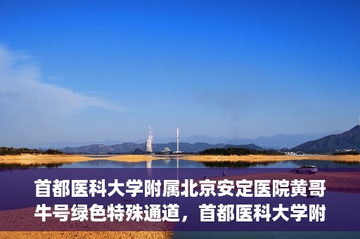 首都医科大学附属北京安定医院黄哥牛号绿色特殊通道，首都医科大学附属北京安定医院黄哥牛号绿色特殊通道，探索与实践