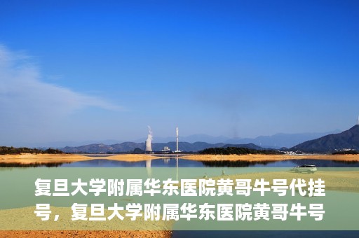 复旦大学附属华东医院黄哥牛号代挂号，复旦大学附属华东医院黄哥牛号代挂号解析与体验分享